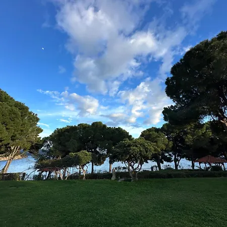 Villa Fokiotrypa Seaside Retreat